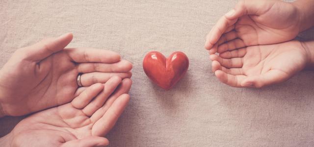 Charitable Giving Plan | Higher Ground Financial Services